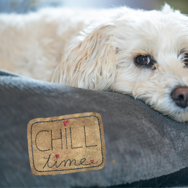 Stickdatei Aufnäher CHILL-time für 10x10 cm Stickrahmen